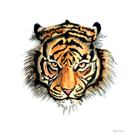 tiger watercolor