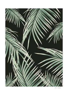 Green Palm Leaves Dream #1