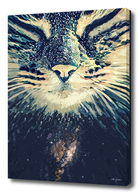 Cosmos cat