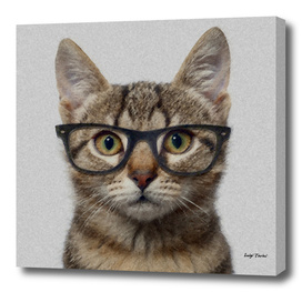 Geek Cat