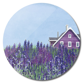 lavender house