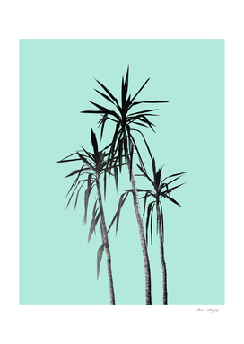 Palm Trees - Mint Cali Summer Vibes #1