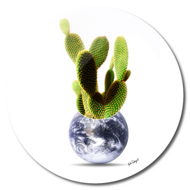 Whole world is a cactus