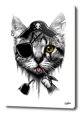 Piratecat