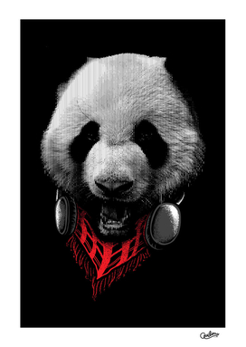 Panda Stylish