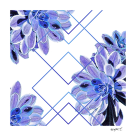 Geometric Echeveria Flowers Design