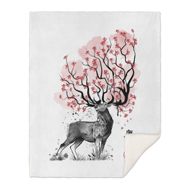 Sakura Deer