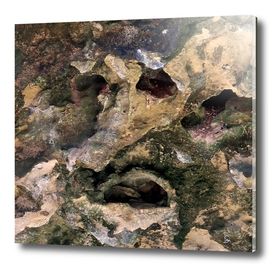 Face of the Rock