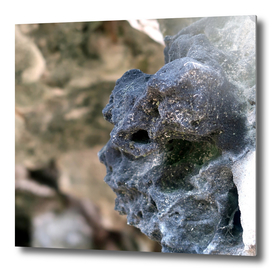 Skull of the Rocks