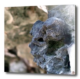 Skull of the Rocks