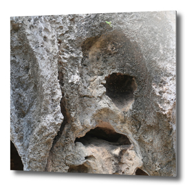 Face of the Rocks