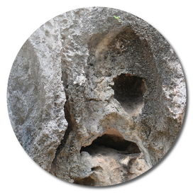 Face of the Rocks