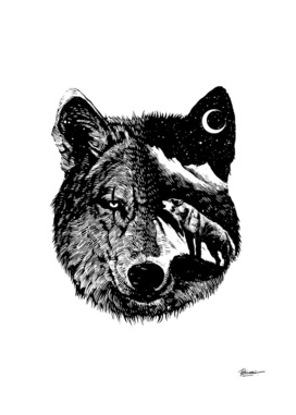 Night wolf