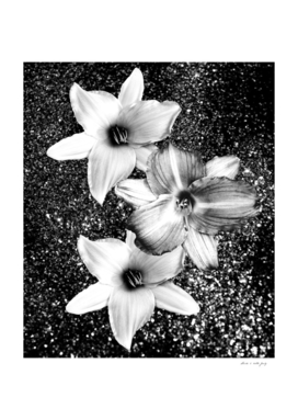 White Lilies on Black Glitter #1 #floral #decor #art