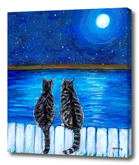 Tabby Cats in the Moonlight