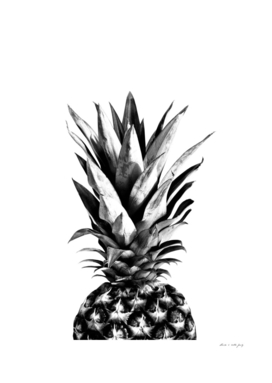 Pineapple Black & White Dream #1 #tropical #fruit #decor