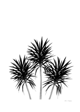 Palm Trees - Cali Summer Vibes #2 #decor #art
