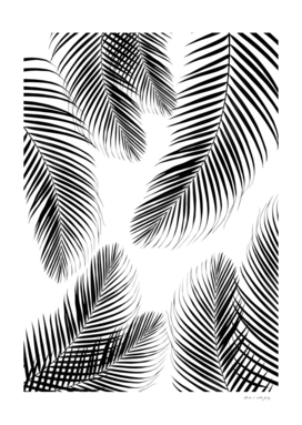 Palm Leaves - Black & White Cali Vibes #2 #tropical #decor