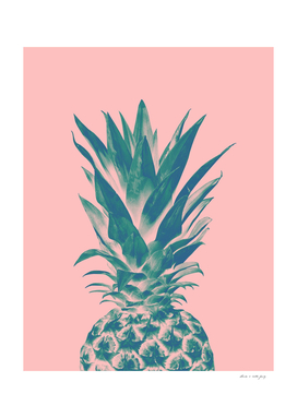 Blush Pineapple Dream #3 #tropical #fruit #decor #art