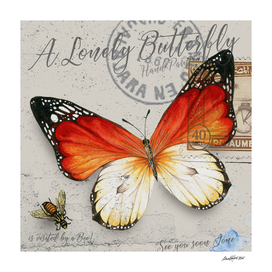 Lonely Butterfly Orange