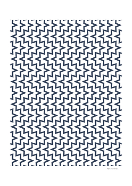 Geometric Sea Urchin Pattern - Navy #494