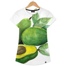 avocado illustration
