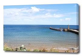 Whitby Nature sea side landscape