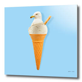 Seagull ice cream