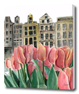 urban tulips
