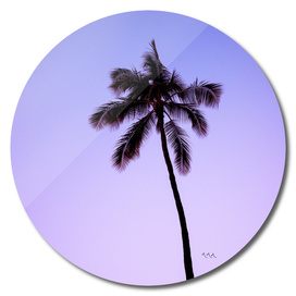 palmtree ver.purple