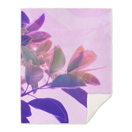 Elegant Tropical Rubber Foliage in Pink and Purple