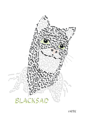 Blacksad Detective Cat