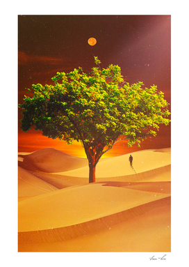 The Tree In The Desert