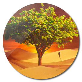 The Tree In The Desert
