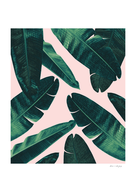 Banana Leaves - Cali Vibes #1 #tropical #decor #art