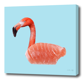 Salmon Flamingo