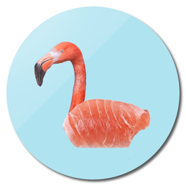 Salmon Flamingo