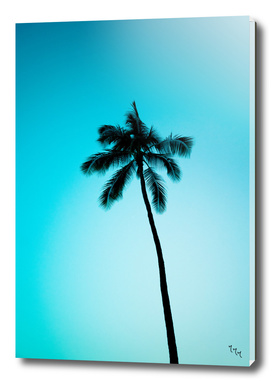 palmtree ver.skyblue