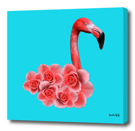 Pink Rose Flamingo