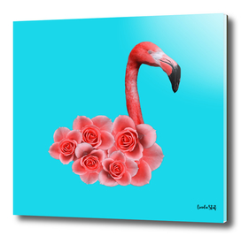 Pink Rose Flamingo