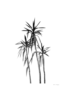 Palm Trees - White Cali Summer Vibes #1 #decor #art