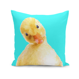 Duckling Portrait Turquoise Background