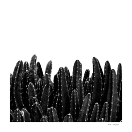 Black Cacti Dream #1 #minimal #decor #art