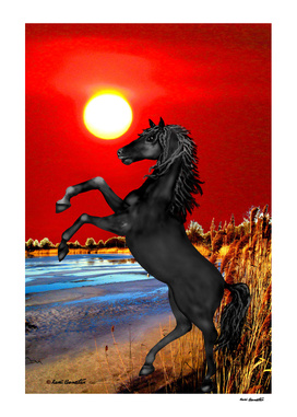 Black Wild Horse at Sunset