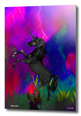 Black Unicorn Horse 1