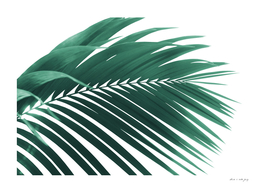 Palm Leaf Green Vibes #1 #tropical #decor #art