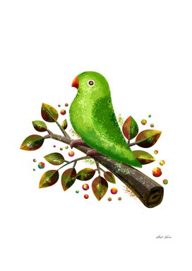 Parrot Bird