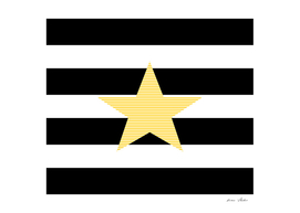 Star - yellow - black and white strips.