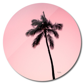 palmtree ver.pink