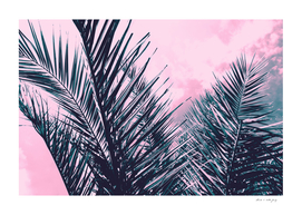 Summer Palms - Cali Vibes #1 #tropical #decor #art